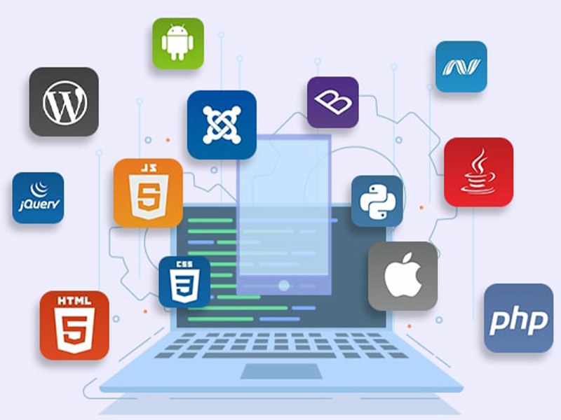 Custom Web Application